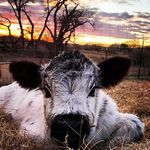 Abby - @abby_denise123 - Instagram