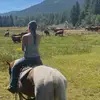 abby_depaul - @abby_depaul - TikTok