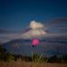 Abby Tapia - Facebook