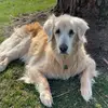 abbyderry - @abbyderry - TikTok