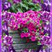 Eba Santis - Facebook
