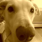 Abi Desmarais - Facebook