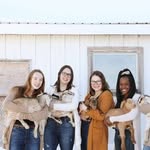 Hanna Abby Dani Desta - @haddodds - Instagram