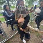 abby - @abby_dewitt16 - Instagram