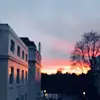Abby Dichter  - @abby.d23 - TikTok