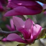 Abby Diehl - @abbyraephotography - Instagram