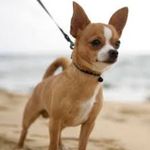 Jacklyn - @abbydillardsbestfriend - Instagram