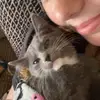 🎀abbydabbydo🐆 - @abby_fisher11 - TikTok