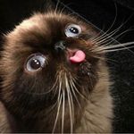 Abbigail Dobbs - @abbigail_dobbs - Instagram