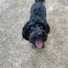 Abby - @abby_dobbs - TikTok