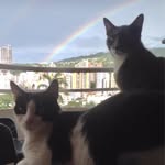 Abby & Dominic 🐾 - @abby__dominic - Instagram