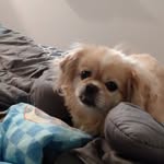 Bucker Dooley - @abby.dooley202021 - Instagram