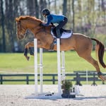 Abby Dove - @abbydeventing - Instagram