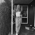 Abby Dowling - Facebook