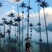 Abby Downey - Facebook