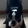 abbygaildowning - @art_vibes9938 - TikTok