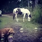 abby drescher - @storm.chaser.18 - Instagram