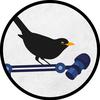 BY DROZD - @by_drozd - TikTok