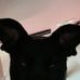 Abby Drumright - Facebook