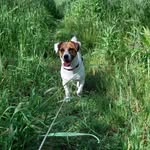 Abby - @i_am_duchess_abby - Instagram