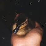Abby Duck - @abby_duckxx - Instagram