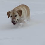 Abbie Duclos - @abbie.photography7 - Instagram
