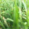 Abby_duffield - @itzz_abby_wbu - TikTok
