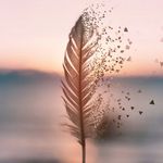 Abby Duffy - @sommerkind264555 - Instagram