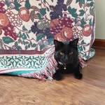 Abby - @abby__dugan - Instagram