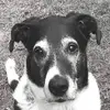 Abby Duke - @abby.duke45 - TikTok