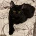Abby Dunaway - Facebook