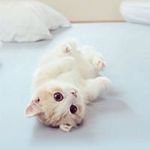 Abbygaelle Dunkerque - @abbygaelledunkerque - Instagram
