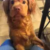 Abby Dunlap - @that.makeup.chik063 - TikTok