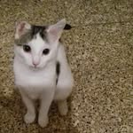 abby_durant - @abbyd_d - Instagram