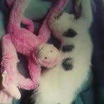 lily_abby❤😺 - @lily.abby.durant - Instagram