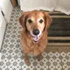 AbbyDuvall33 - @abbyduvall0933 - TikTok