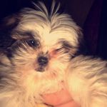 Abby And Emerson - @abbyandemerson - Instagram