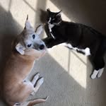 Abby & Cindy - @abby_and_cindy_fellows - Instagram
