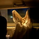 abby ferguson - @a.ferguson05 - Instagram