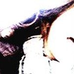 Abby Fitzpatrick - @light_brightandday - Instagram