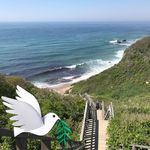 Peggy Forsyth - @abbyflamescar - Instagram