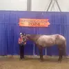 abbyfreeberg5 - @abbyfreeberg5 - TikTok