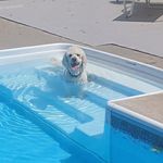 Abby Friend Walker - @drdolphinwalker - Instagram