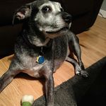 abbyfriend - @abbyfriend13 - Instagram