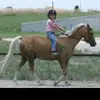 Zilverfee - @abbyfunk1 - TikTok
