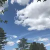 abbygael - @abbygael60 - TikTok