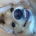 Abby Gajewski - Facebook