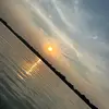 Abby-Gaëlle - @abbygalle0 - TikTok
