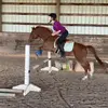 Abby Gallup - @abbygallup1 - TikTok