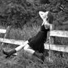 Abigail Gamble - @abbygamble_12 - TikTok
